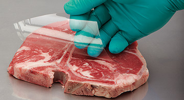 Related_Bone Shield